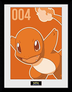 CHARMANDER MONO PICTURE FRAME